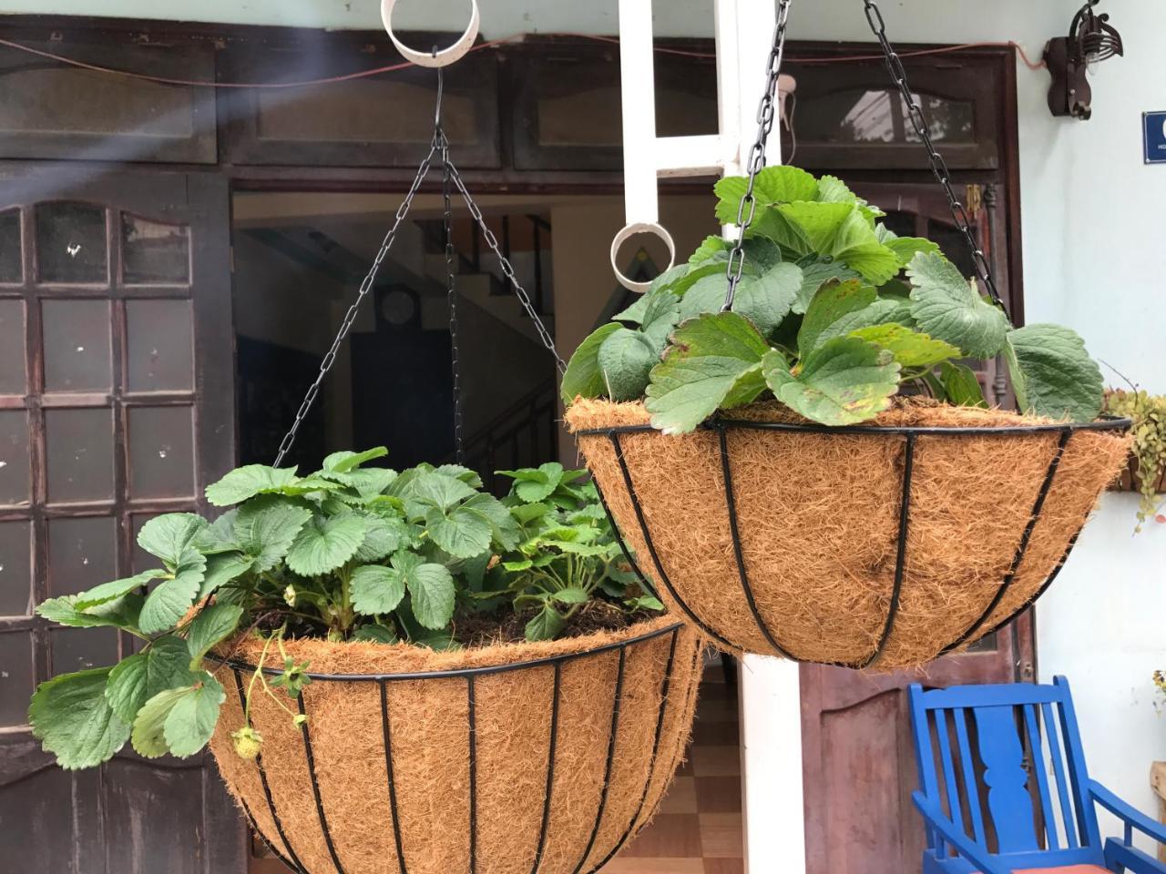 Dalat Coffee House Homestay Esterno foto